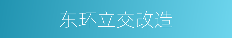 东环立交改造的同义词