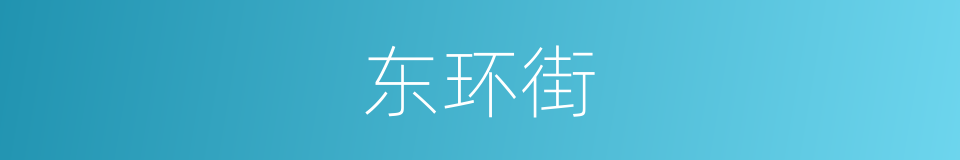 东环街的同义词
