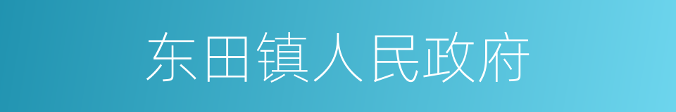 东田镇人民政府的同义词