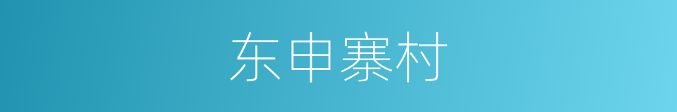 东申寨村的同义词