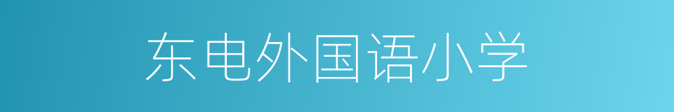 东电外国语小学的同义词