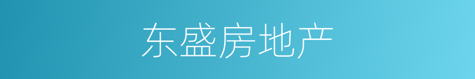 东盛房地产的同义词