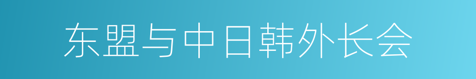 东盟与中日韩外长会的同义词