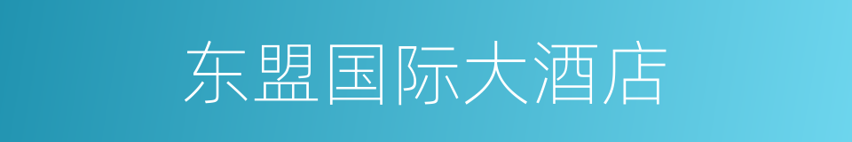 东盟国际大酒店的同义词