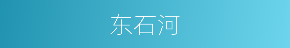 东石河的同义词
