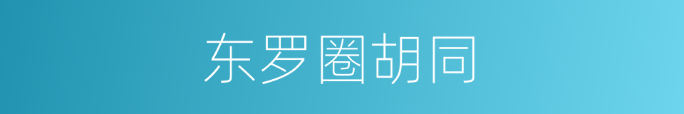 东罗圈胡同的同义词