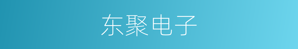 东聚电子的同义词