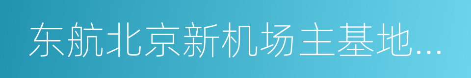 东航北京新机场主基地建设合作框架协议的同义词