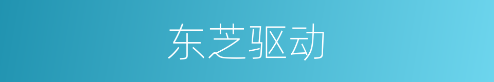 东芝驱动的同义词