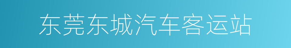 东莞东城汽车客运站的同义词