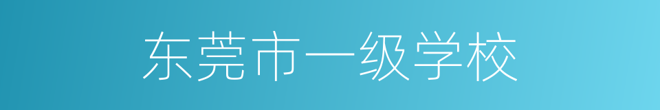 东莞市一级学校的同义词