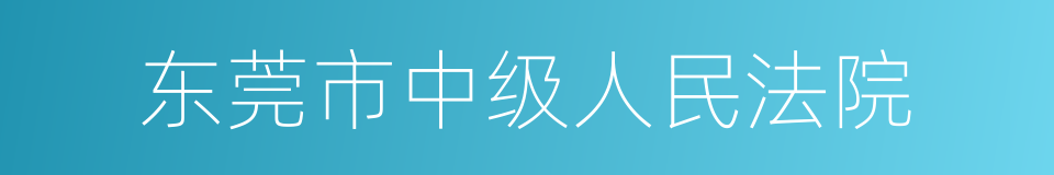 东莞市中级人民法院的同义词