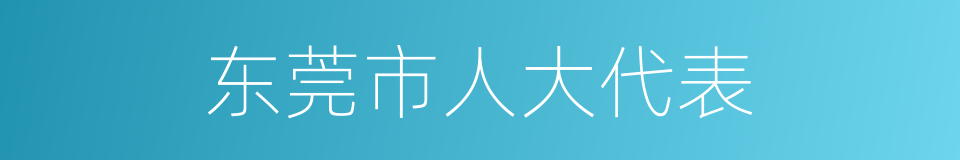 东莞市人大代表的同义词