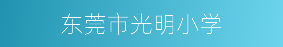 东莞市光明小学的同义词