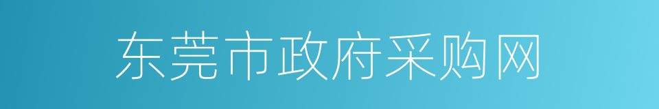 东莞市政府采购网的同义词