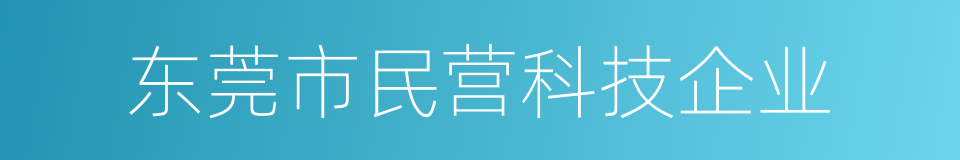 东莞市民营科技企业的同义词