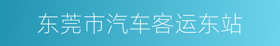 东莞市汽车客运东站的同义词