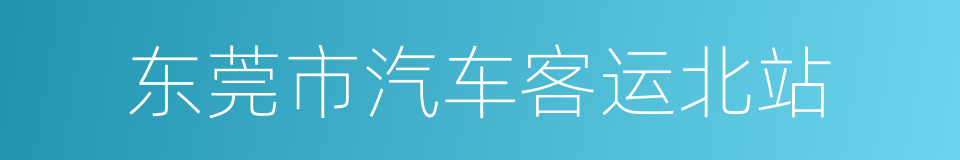 东莞市汽车客运北站的同义词