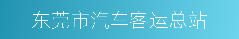 东莞市汽车客运总站的同义词