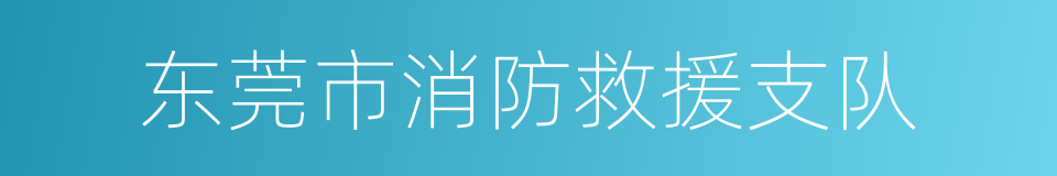 东莞市消防救援支队的同义词