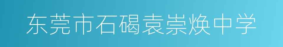 东莞市石碣袁崇焕中学的同义词