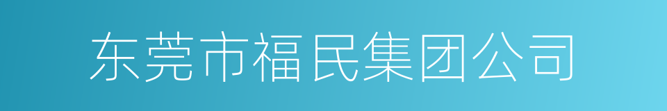 东莞市福民集团公司的同义词