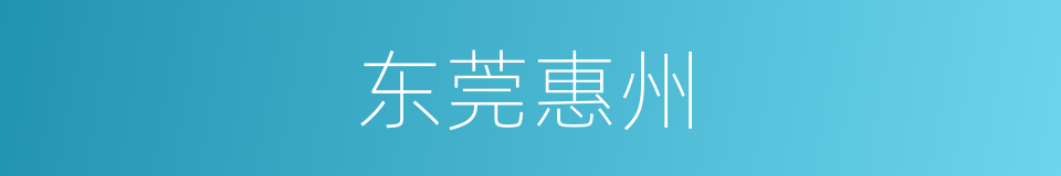 东莞惠州的同义词