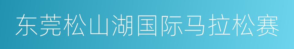 东莞松山湖国际马拉松赛的同义词