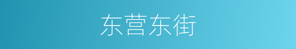 东营东街的同义词