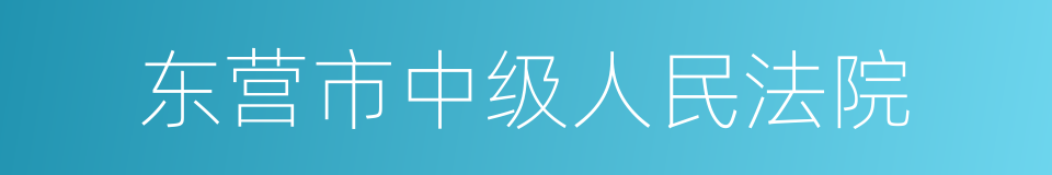 东营市中级人民法院的同义词