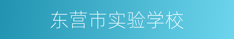 东营市实验学校的同义词