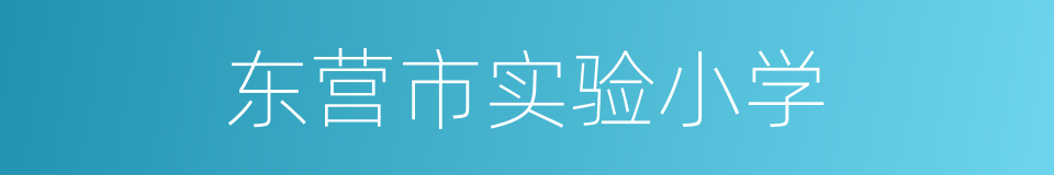 东营市实验小学的同义词