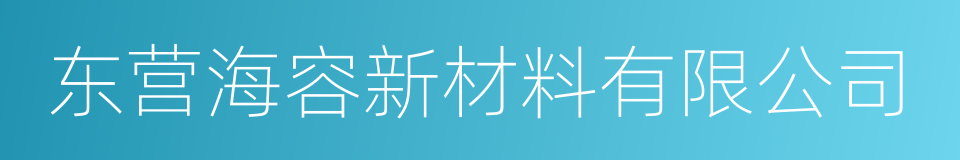 东营海容新材料有限公司的同义词