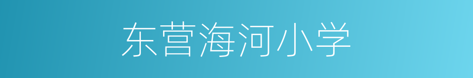 东营海河小学的同义词