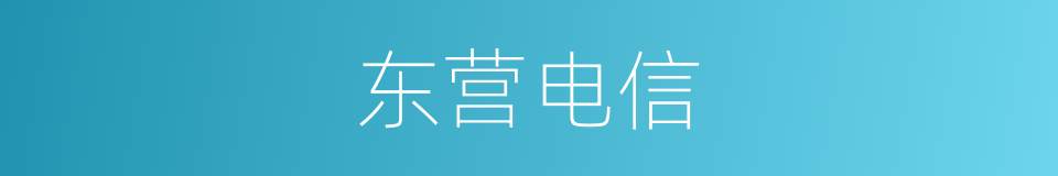 东营电信的同义词