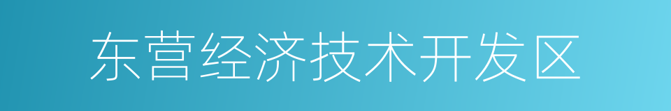 东营经济技术开发区的意思