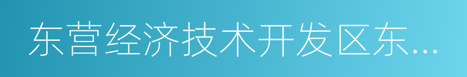 东营经济技术开发区东凯小学的同义词