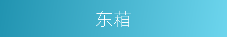 东葙的意思