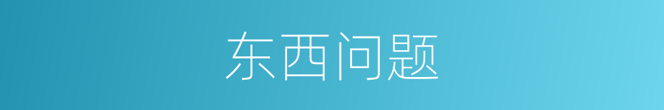 东西问题的同义词