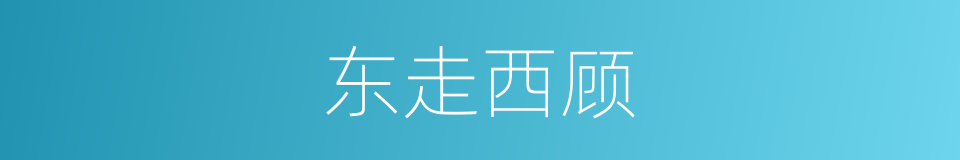 东走西顾的意思