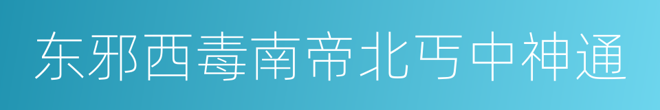 东邪西毒南帝北丐中神通的同义词