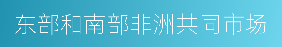 东部和南部非洲共同市场的同义词