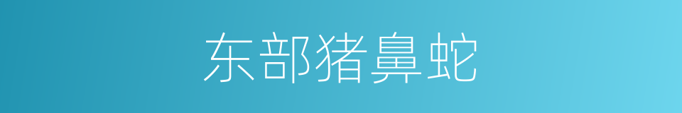 东部猪鼻蛇的同义词