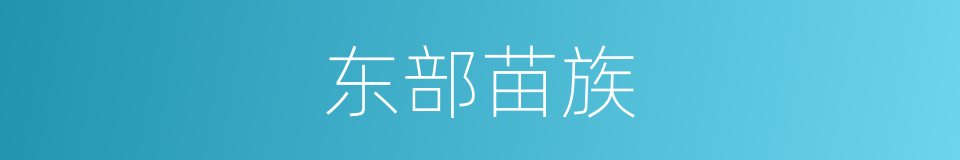 东部苗族的同义词