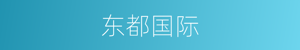 东都国际的同义词