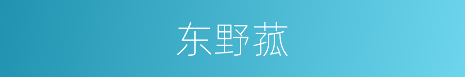 东野菰的同义词