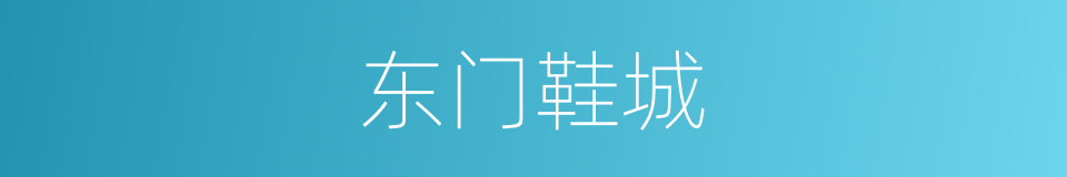东门鞋城的同义词