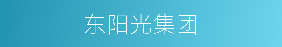 东阳光集团的同义词