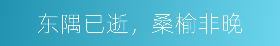 东隅已逝，桑榆非晚的同义词