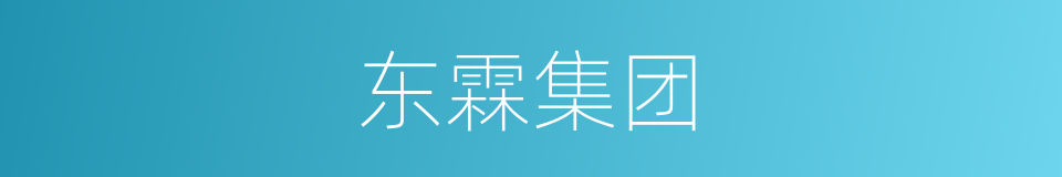 东霖集团的同义词